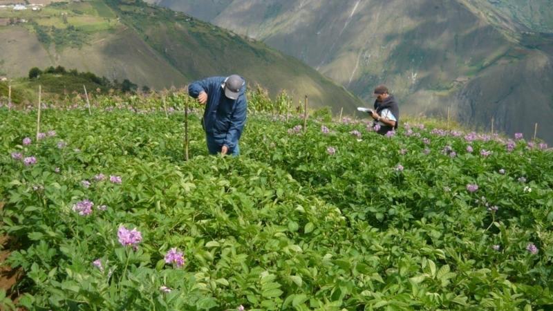 AGRICULTURA Y MINERIA: MODELO PARA ARMAR