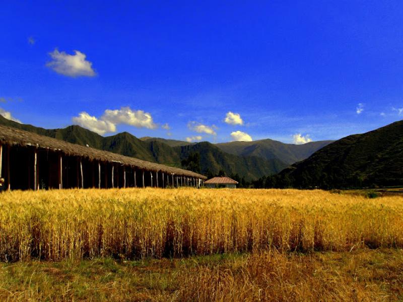 AGRO: A TROCHE Y MOCHE