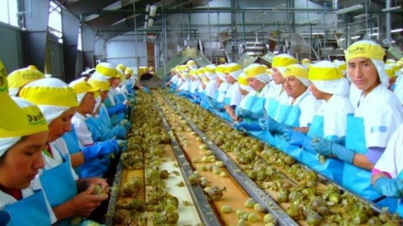 AGRO MODERNO CRECIÓ A UN RITMO DE 8% ANUAL EN LOS ÚLTIMOS DIEZ AÑOS
