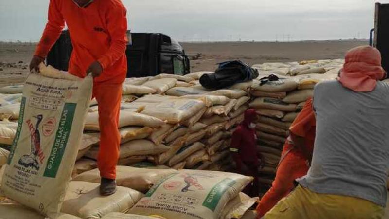 Agro Rural destina 410 toneladas de guano de las islas para la región Junín