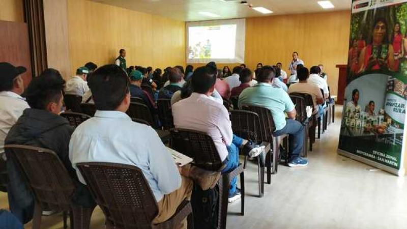 Agro Rural e instituciones de la región San Martín reforzaron alianzas para beneficiar a agricultores