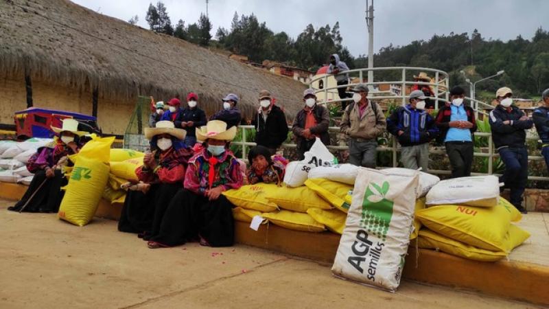 Agro Rural entrega 3.325 kilos de semillas de pastos mejorados perennes