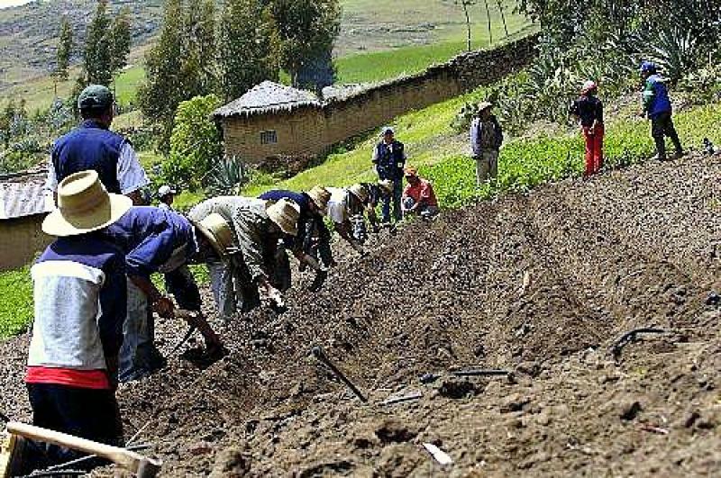 AGROBANCO ACLARA APLICACIÓN DEL PREDA