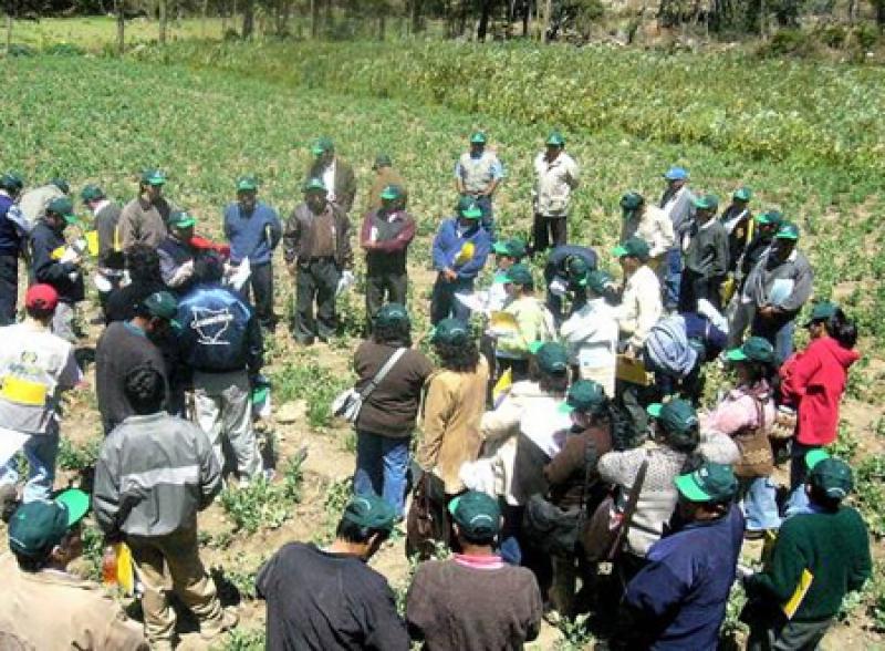 AGROBANCO CRECERÁ 30% EN EL 2011