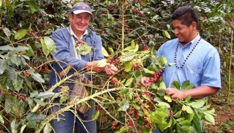 AGROBANCO FINANCIA 100 PLANES DE NEGOCIOS EN EL VRAEM