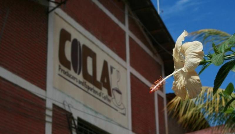 Agrobanco financia reactivación de COCLA