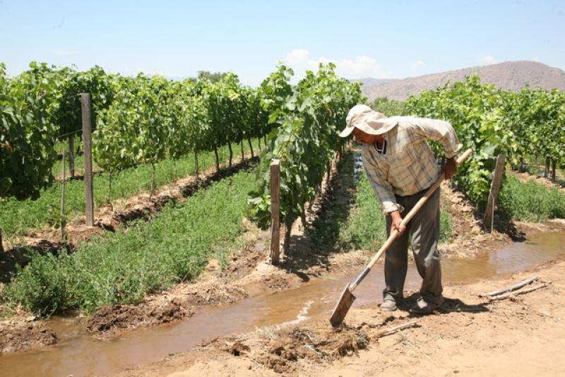 Agrobanco y Junta de Usuarios firman convenio para mejorar la gestión de otorgamiento de créditos