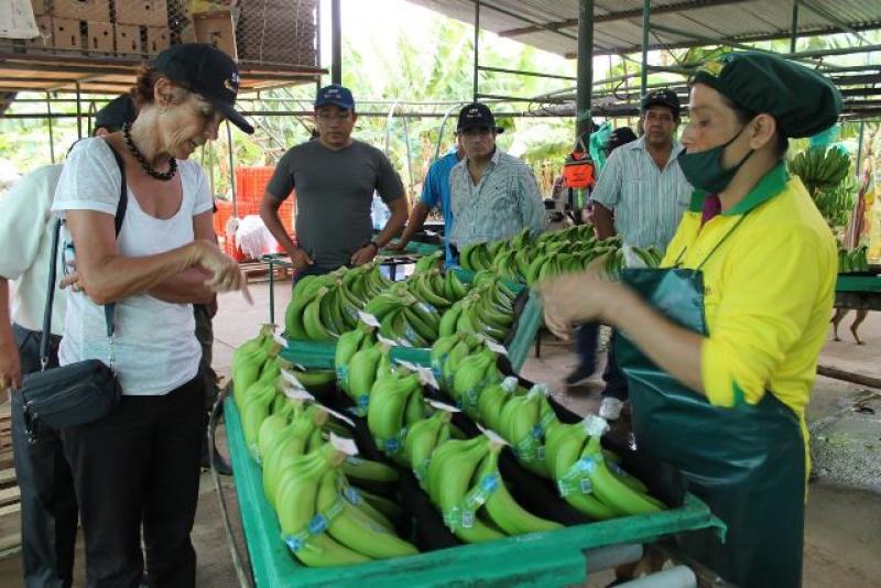 AGROEXPORTACIÓN Y COMERCIO IMPULSAN DESARROLLO ECONÓMICO DE TUMBES