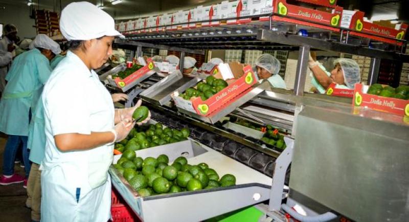 Agroexportaciones crecieron 5% en el primer cuatrimestre del año