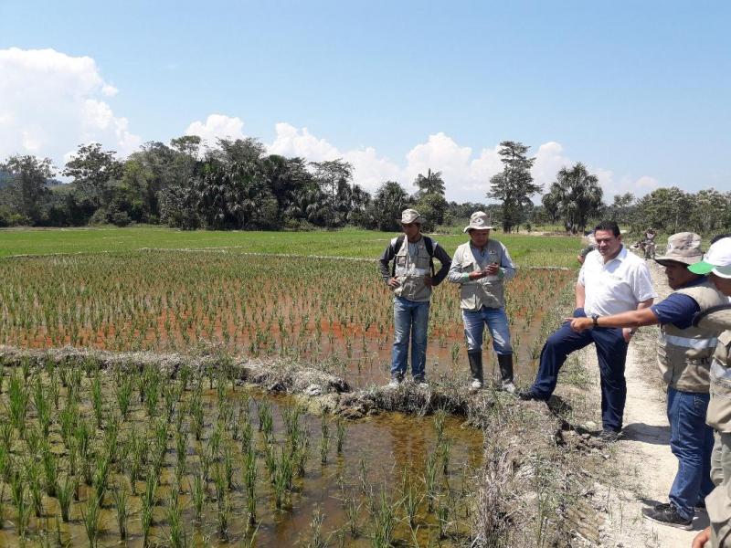 Agroexportaciones peruanas podrán superar los US$ 8.000 millones en el 2019