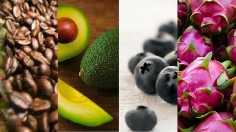 Agroexportaciones peruanas sumaron US$ 704 millones en abril de 2025, reflejando un aumento de 28%