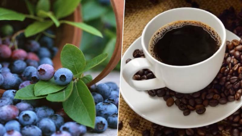 Agroexportaciones recuperan la senda del crecimiento en agosto de 2025