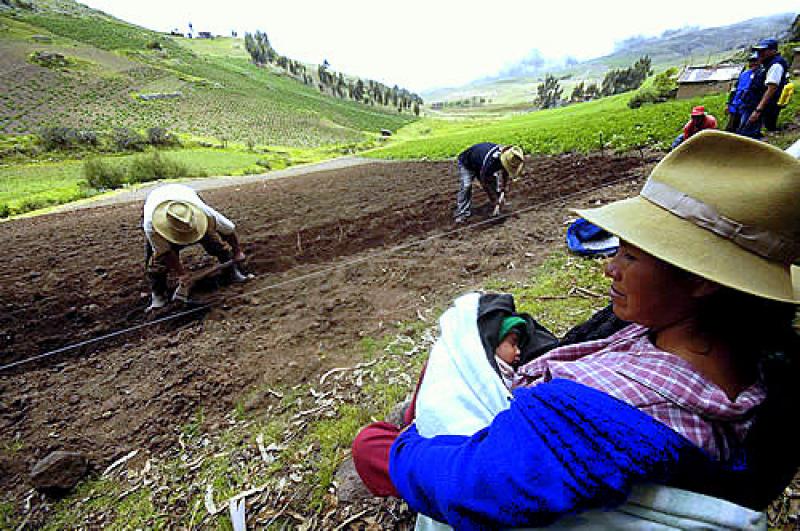 AGROFORUM REUNIRÁ A PRINCIPALES ACTORES DEL SECTOR AGRO