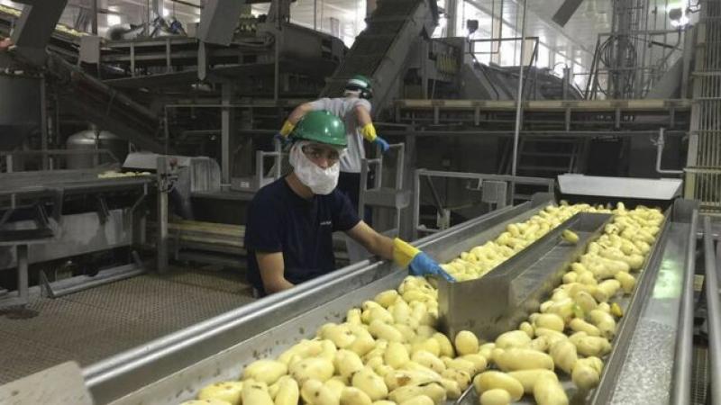 Agroindustria en base a la papa en el Perú