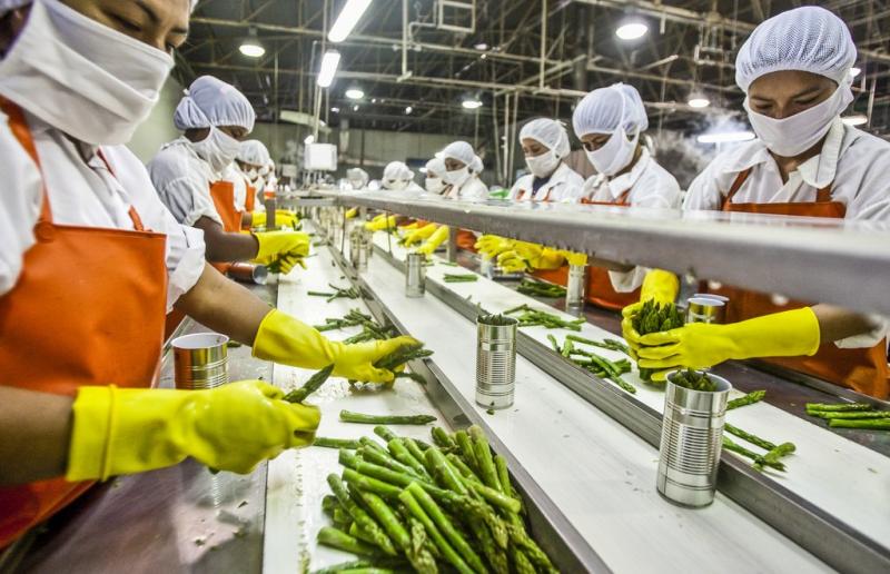 Agroindustria es el motor líder de generación de empleo formal