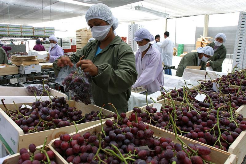 Agroindustria está perdiendo US$ 100 millones por protestas