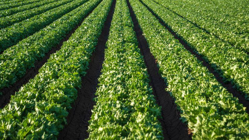 Agroindustria: Gestión preventiva clave frente a los riesgos climáticos y la volatilidad global
