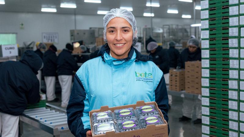 Agroindustrial Beta envía contenedores de arándanos a Asia vía Puerto de Chancay
