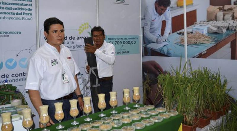 Agronova 2019 se realizará en Tarapoto