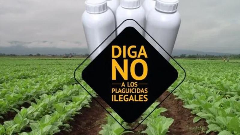 Agroquímicos ilegales ya representan hasta el 25% del mercado en algunas regiones del Perú
