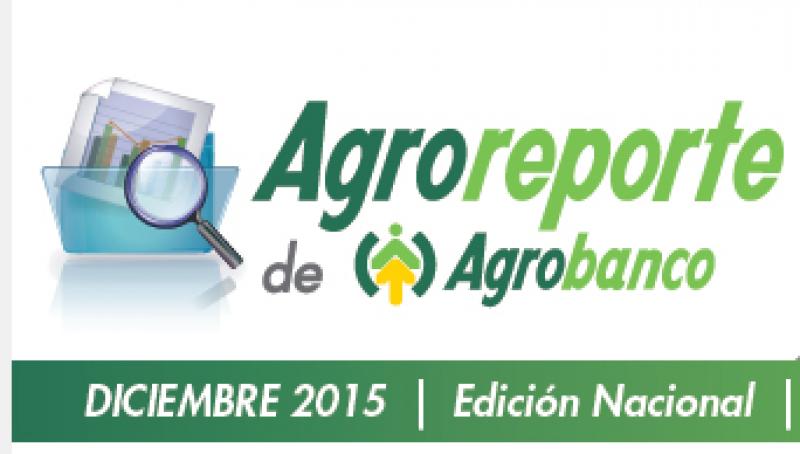 AGROREPORTE DICIEMBRE 2015