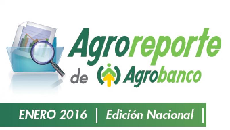 AGROREPORTE ENERO 2016