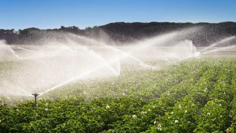 AGUA PARA LA AGRICULTURA DEL PERU: URGE POLITICA DE ESTADO 2027-2036