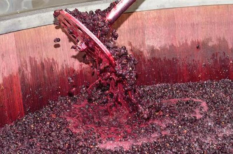 AJE compraría mosto de uva en Argentina