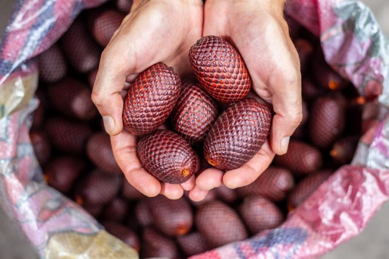 Amazon Andes llegará con su oferta de superalimentos peruanos a más mercados en el mundo