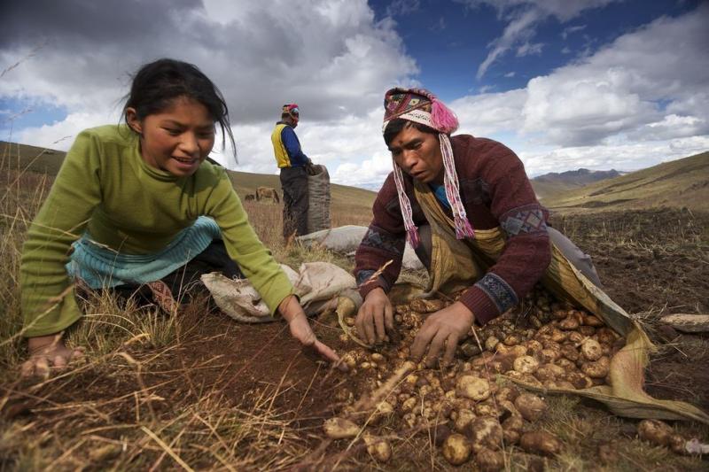 Análisis de las propuestas para el agro nacional