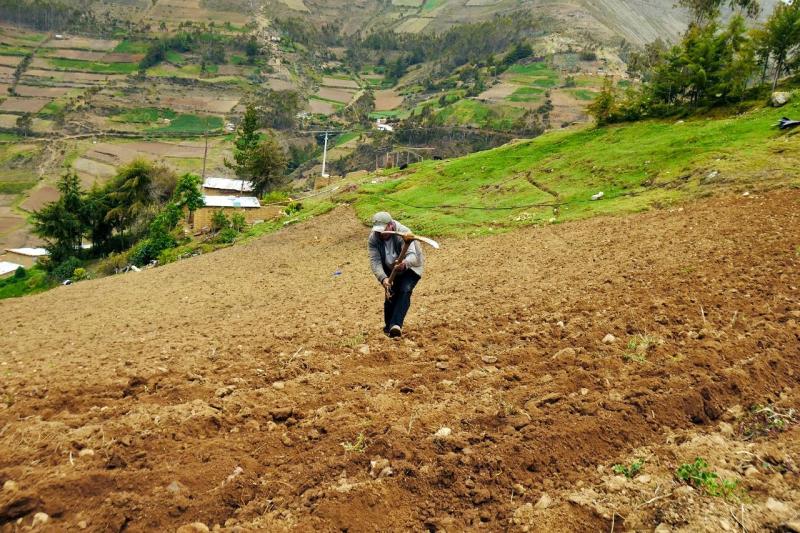 Áncash: agricultores requieren con urgencia obras para represamiento de agua en Caparinancocha