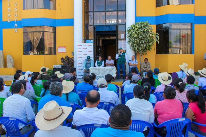 Áncash: Comités de Sanidad Agraria inician operaciones para erradicación de Mosca de la Fruta