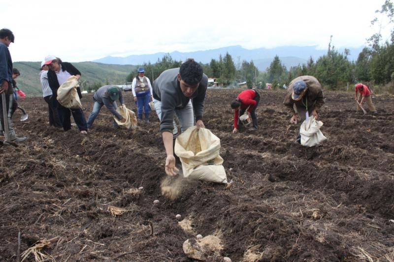 Áncash: más de 700 familias mejorarán producción agrícola con guano de las islas