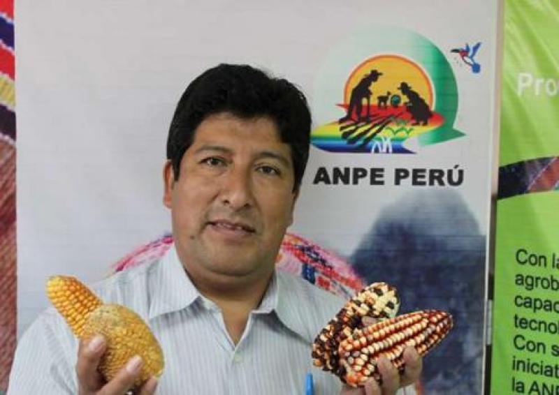 ANPE-PERÚ INSTALARÍA 4 ECOTIENDAS ESTE AÑO