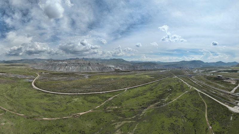 Antapaccay forestó 130 hectáreas con especies nativas de queñua y colle dentro de sus operaciones