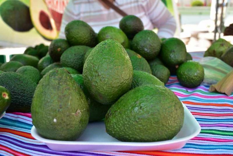 Anuncian festival regional y Congreso Nacional de la Palta en Huancayo