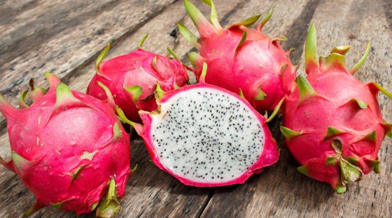 APHIS evalúa riesgo de plagas para importación de pitahaya fresca peruana