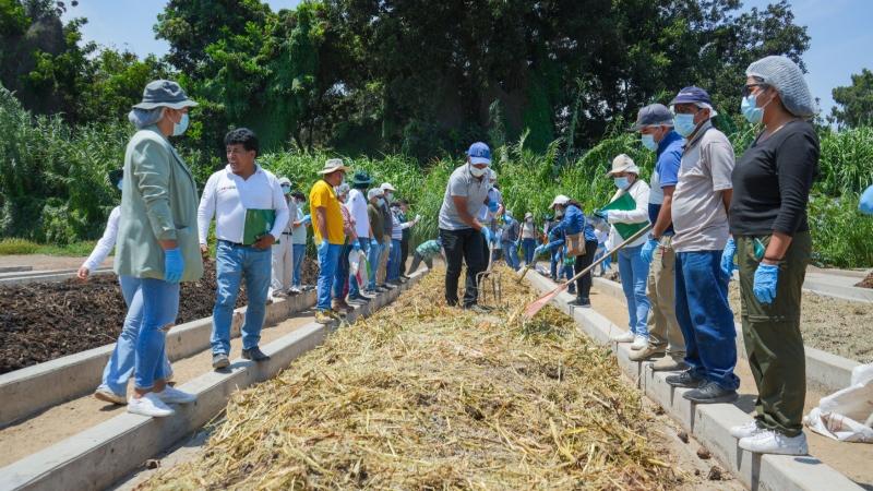 Aplicarán bioinsumos y tecnología orgánica en 120 hectáreas de cultivos