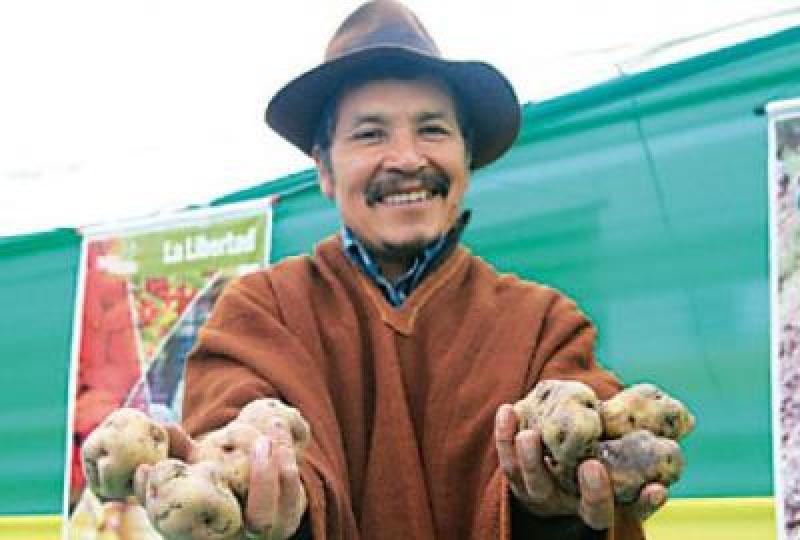 APPAPA DISTRIBUIRÍA 90 TONELADAS DE PAPAS NATIVAS A TOTTUS