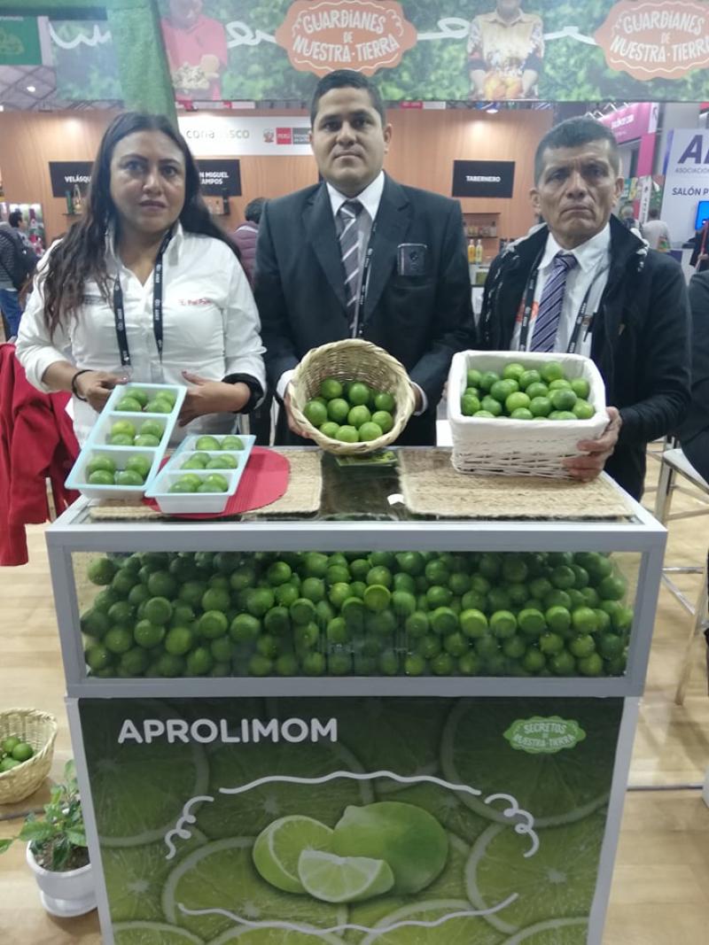 Aprolimom produciría 1.200 toneladas de limón sutil en la campaña 2019/2020