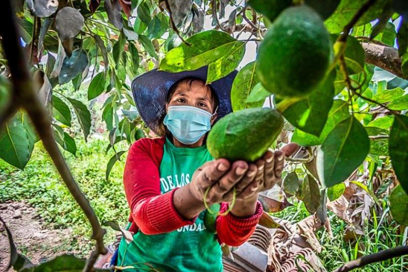 Aprueban la Estrategia denominada “Emprendimiento de la Mujer Rural e Indígena para el año 2024”