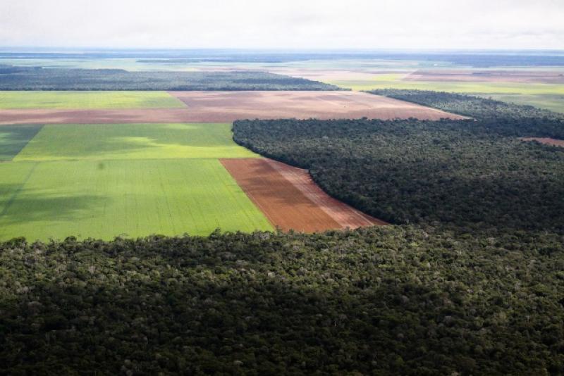 APRUEBAN LEY QUE AMPLÍA FRONTERA AGRÍCOLA EN ZONAS ALTOANDINAS 