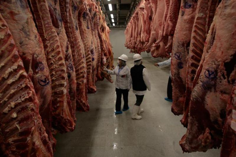 APRUEBAN LINEAMIENTOS PARA APLICACIÓN DE MEDIDAS SANITARIAS EN LOCALES DONDE PROCESEN CARNES O SUS DERIVADOS