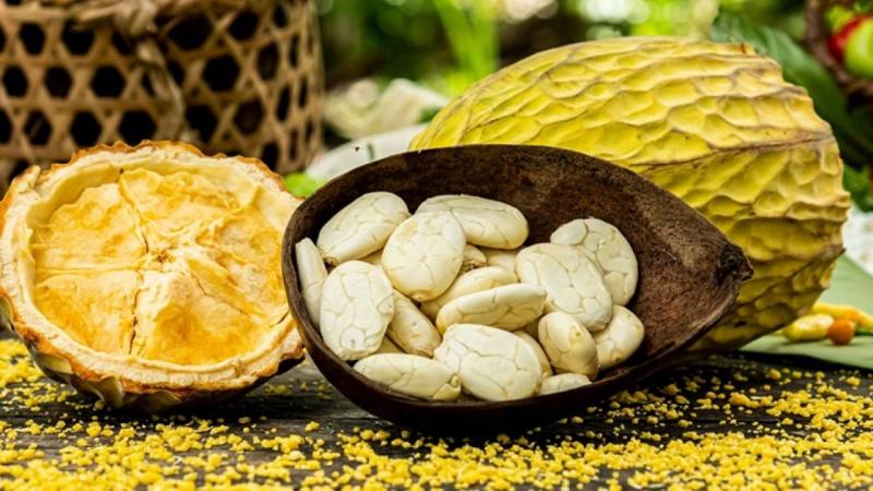 Aprueban Norma Técnica Peruana del macambo, un súper alimento de calidad