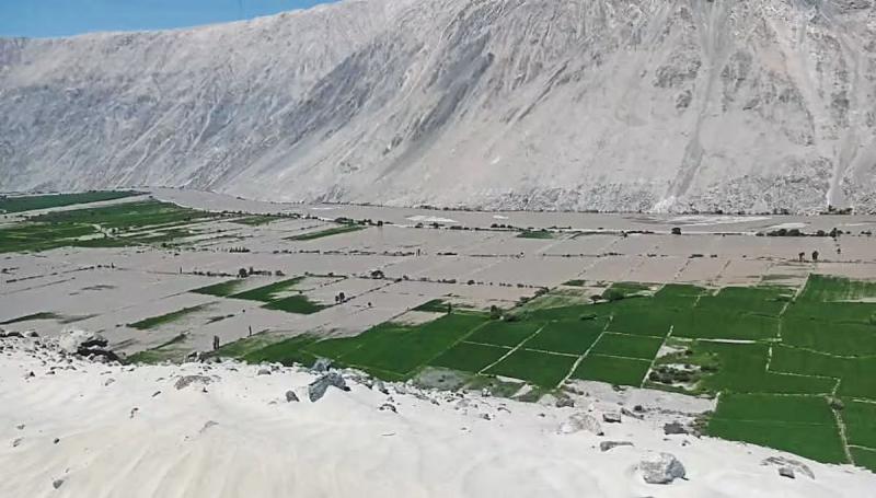 Arequipa: Más de 300 hectáreas de cultivo afectadas en los valles de Ocoña, Majes y Tambo