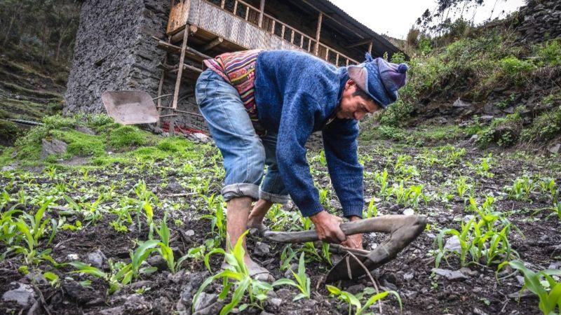Arequipa: otorgarán más de S/ 4 millones a proyectos que impulsen adaptación al cambio climático