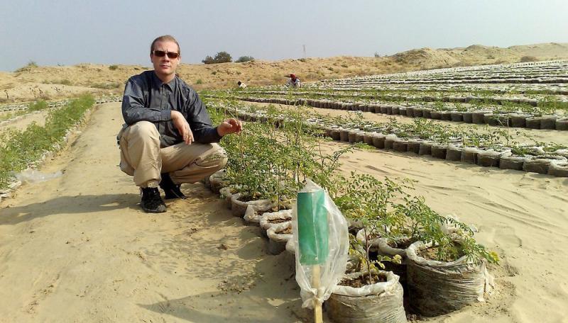 Argentina: descubren cómo convertir la arena del desierto en tierra fértil para la siembra de cultivos