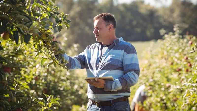 Argentina: pronostican que el blockchain puede convertirse en una herramienta clave para la agricultura
