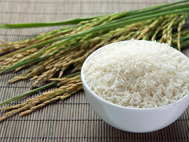 Arroz fue el producto  que más contribuyó al valor bruto de la producción agraria en 2015