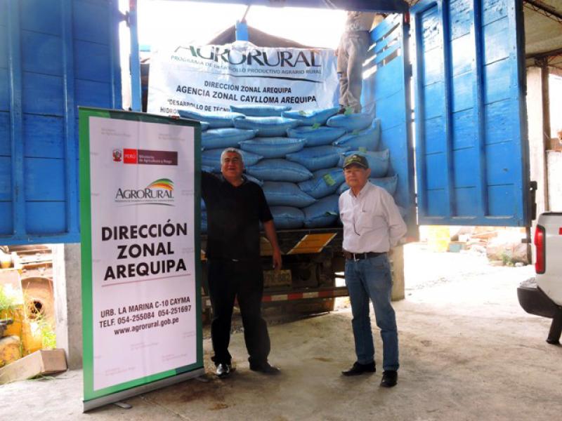 Aseguran alimentos para ganado durante heladas en Arequipa